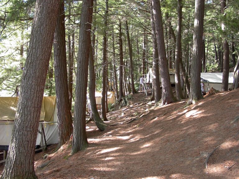 Communicating with Your Child at Camp